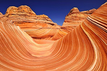 The Wave sandstone rock formation, a wave of eroded Navajo sandstone with Liesegang rings, North Coyote Buttes, Paria Canyon, Vermillion Cliffs National Monument, Arizona, Utah, USA