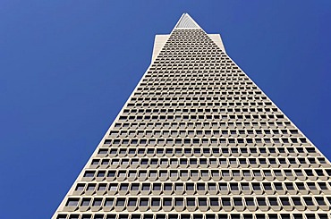 Transamerica Pyramid, skyscraper, Financial District, San Francisco, California, United States of America, USA, PublicGround