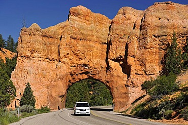 Rock arch in a red rock formation, road tunnel, Red Canyon, Utah, USA