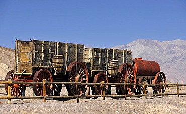 Historical Twenty Mule Team for the transport of borax, Borax Museum, Furnace Creek Ranch Resort Oasis, Death Valley National Park, Mojave Desert, California, United States of America, USA