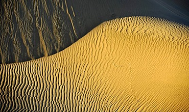 Ripple marks in the sands of the Mesquite Flat Sand Dunes, early morning light, Stovepipe Wells, Death Valley National Park, Mojave Desert, California, United States of America, USA