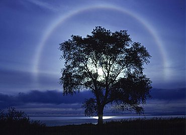 Sun ring - Halo - nature phenomenon, Zudar, Ruegen, Mecklenburg-Vorpommern, Germany