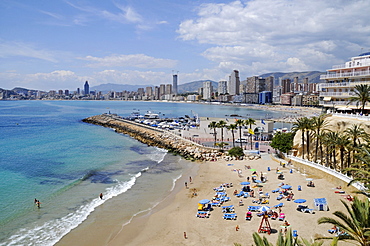 Playa de Mal Pas beach, harbor, Benidorm, Alicante, Spain, Europe