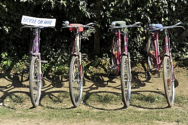 Bicycle rental, Chitwan National Park, Nepal, Asia