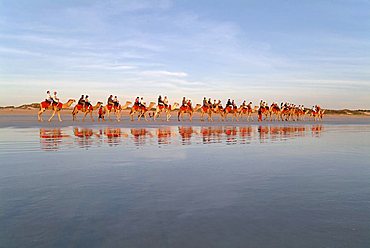 camel caravan with tourists, Cable Beach, Broome, Kimberly, Western Australia