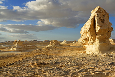 Mushroom-shaped limestone rock formations, White Desert, Farafra Oasis, Western Desert, Egypt, Africa