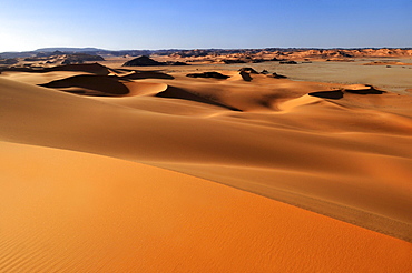 Sand dunes of In Tehak, Tadrart, Tassili n'Ajjer National Park, Unesco World Heritage Site, Algeria, Sahara, North Africa