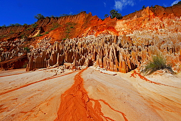 Tsingy Rouge, limestone formations, Analamera, Madagascar, Africa, Indian Ocean