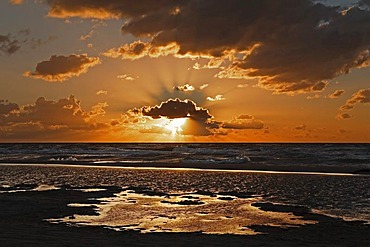 Sunset on Darsser Weststrand beach, Western Pomerania Lagoon Area National Park, Mecklenburg-Western Pomerania, Germany, Europe