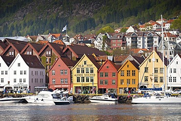 Tyskebryggen or Bryggen, Hanseatic Quarter, Bergen, Hordaland, Norway, Scandinavia, Northern Europe, PublicGround