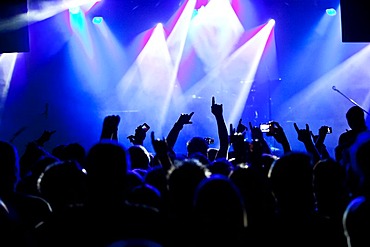 Cheering crowd at a rock concert