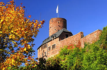 Burg Hengebach castle in Heimbach, Eifel, North Rhine-Westphalia, Germany, Europe