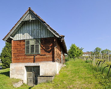 Wine grower's house on Csaterberg mountain, Kohfidisch, Burgenland, Austria, Europe