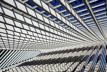 Detailed view of the roof of the station concourse, Gare de Liege-Guillemins railway station, architect Santiago Calatrava, Liege, Luik, Wallonia, Belgium, Europe