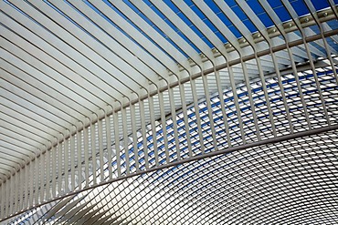 Roof detail of the concourse, Gare de Liege-Guillemin station by architect Santiago Calatrava, Liege, Wallonia or Walloon Region, Belgium, Europe