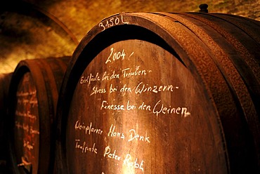 Old wine barrels in a wine cellar, Loisium World of Wine, Langenlois, Kamptal, Wachau, Lower Austria, Austria, Europe