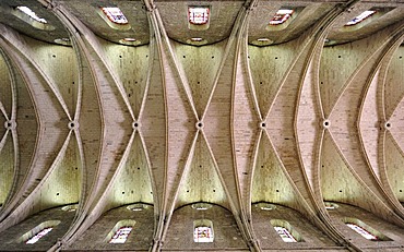 Romanesque ceiling construction, basilica Abbey of Saint-Remi, UNESCO World Heritage Site, Reims, Champagne-Ardenne, Marne, France, Europe