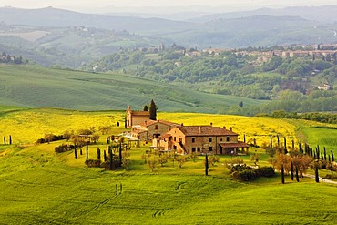 Country house, Asciano, Tuscany, Italy, Europe, PublicGround