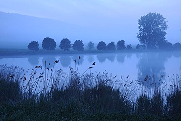 Blue hour, dawn at a fish pond in Thuringia, Germany, Europe