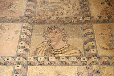 Mosaic in the House of Dionysus, archaeological site of Pafos, Paphos, southern Cyprus