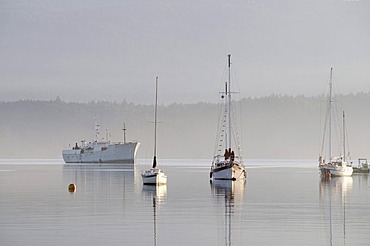 Boats at anchor, Cowichan Bay, Vancouver Island, British Columbia, Canada