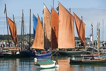 Old sailing boats in the port of La Trinite-sur-Mer, regatta old sailing ships, Brittany, France, Europe