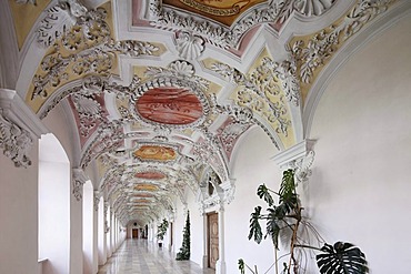 Stucco in the Prince's Wing, Benedictine monastery Kloster Wessobrunn, Pfaffenwinkel, Upper Bavaria, Bavaria, Germany, Europe