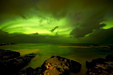 Polar lights (Aurora borealis) on the rocky coast of Hov, Gimsoy island, Lofoten, Norway, Europe