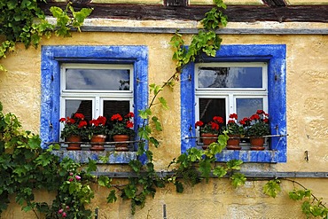 Two windows with geraniums and blue borders on the Haeckergut farm from the Steigerwaldrand, built in 1717, from Ergersheim, Franconian open-air museum, Eisweiherweg 1, Bad Windsheim, Middle Franconia, Bavaria, Germany, Europe