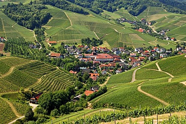 Panoramic views from Burg Staufenberg castle overlooking Durbach and vineyards, Baden-Wuerttemberg, Germany, Europe