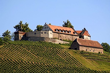 Burg Staufenberg castle with vineyards, Durbach, Baden-Wuerttemberg, Germany, Europe