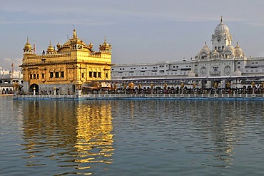 Sikh sanctuary Harmandir Sahib or Golden Temple in the Amrit Sagar, lake of nectar, Amritsar, Punjab, North India, India, Asia