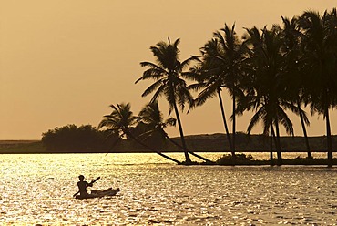 Boat on the backwaters, Poovar, Malabar Coast, Kerala, South India, India, Asia