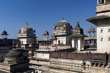 Raj Mahal Palace, Orchha, Madhya Pradesh, North India, India, Asia