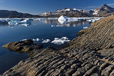 Floating ice sheets and mountains, Tasiilaq or Ammassalik, East Greenland, Greenland