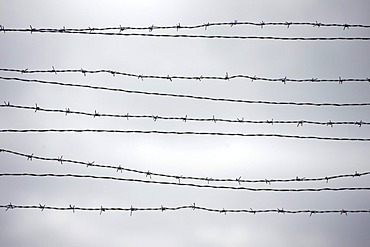 Barbed wire