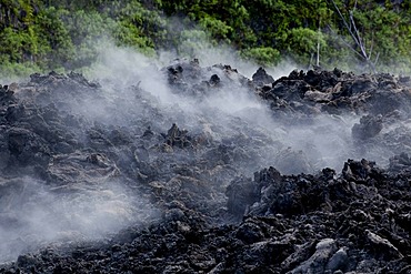 Still warm lava from an eruption of the volcano Piton de la Fournaise in 2007 steaming after rain, at Piton Sainte-Rose, Reunion island, Indian Ocean