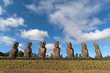 Moai statues, Ahu Akivi, Rapa Nui or Easter Island, Chile, South America