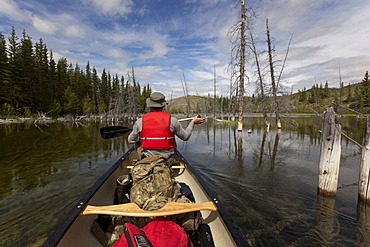 Canoeists on Mandanna Lake, canoeing, paddling a canoe, clear water, dead trees, Yukon Territory, Canada