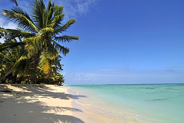 A beach on the island of St. Marie in the east of Madagascar, Africa, Indian Ocean