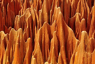 Sandstone formations of the Tsingy Rouge in the north of Madagascar, Africa, Indian Ocean