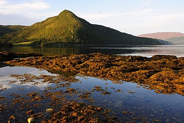 View of the Bonne Bay from Norris Point, Newfoundland, Canada