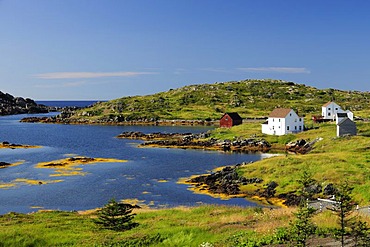 Fishermen's houses in a fjord landscape, near Twillingate, Newfoundland, Canada, North America