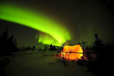 Northern Lights, aurora borealis above the Arctic, Hudson Bay, Manitoba, Canada