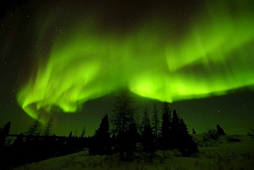 Northern Lights, aurora borealis above the Arctic, Hudson Bay, Manitoba, Canada