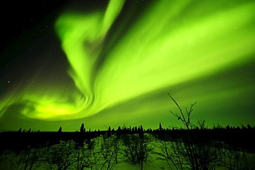 Northern Lights, aurora borealis above the Arctic, Hudson Bay, Manitoba, Canada