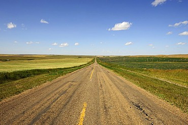 Straight road stretching to the horizon, prairie, Saskatchewan, Canada