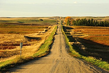 Straight road through the wide Prairies, Saskatchewan, Canada