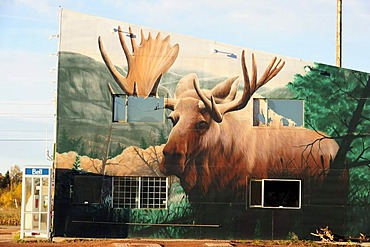 Moose, typical Canadian mural, Ontario, Canada