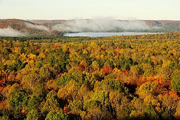 Colorful autumn forest from above, Algonquin Provincial Park, Ontario, Canada